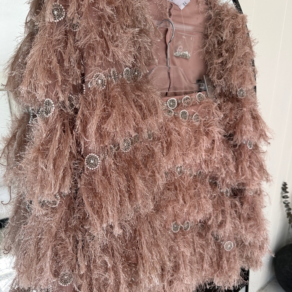 ASOS Blush Feathered Jacket with Silver Details - Picture 4 of 11